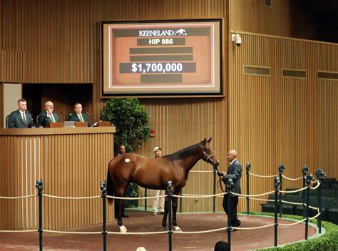 keeneland sales results